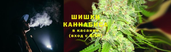 2c-b Белокуриха