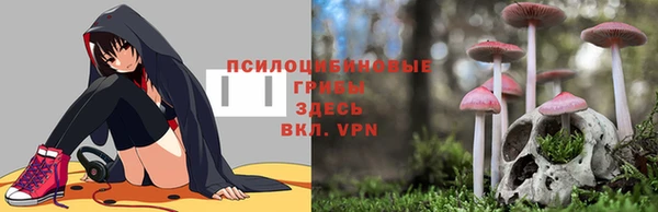 2c-b Белокуриха