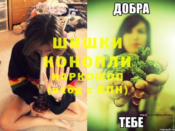 марки nbome Тайга