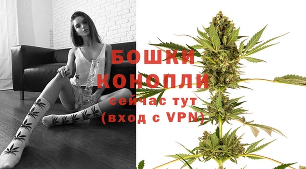2c-b Белокуриха